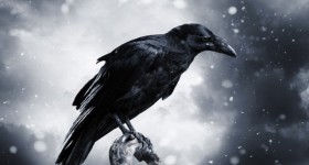 'Raven's Call'